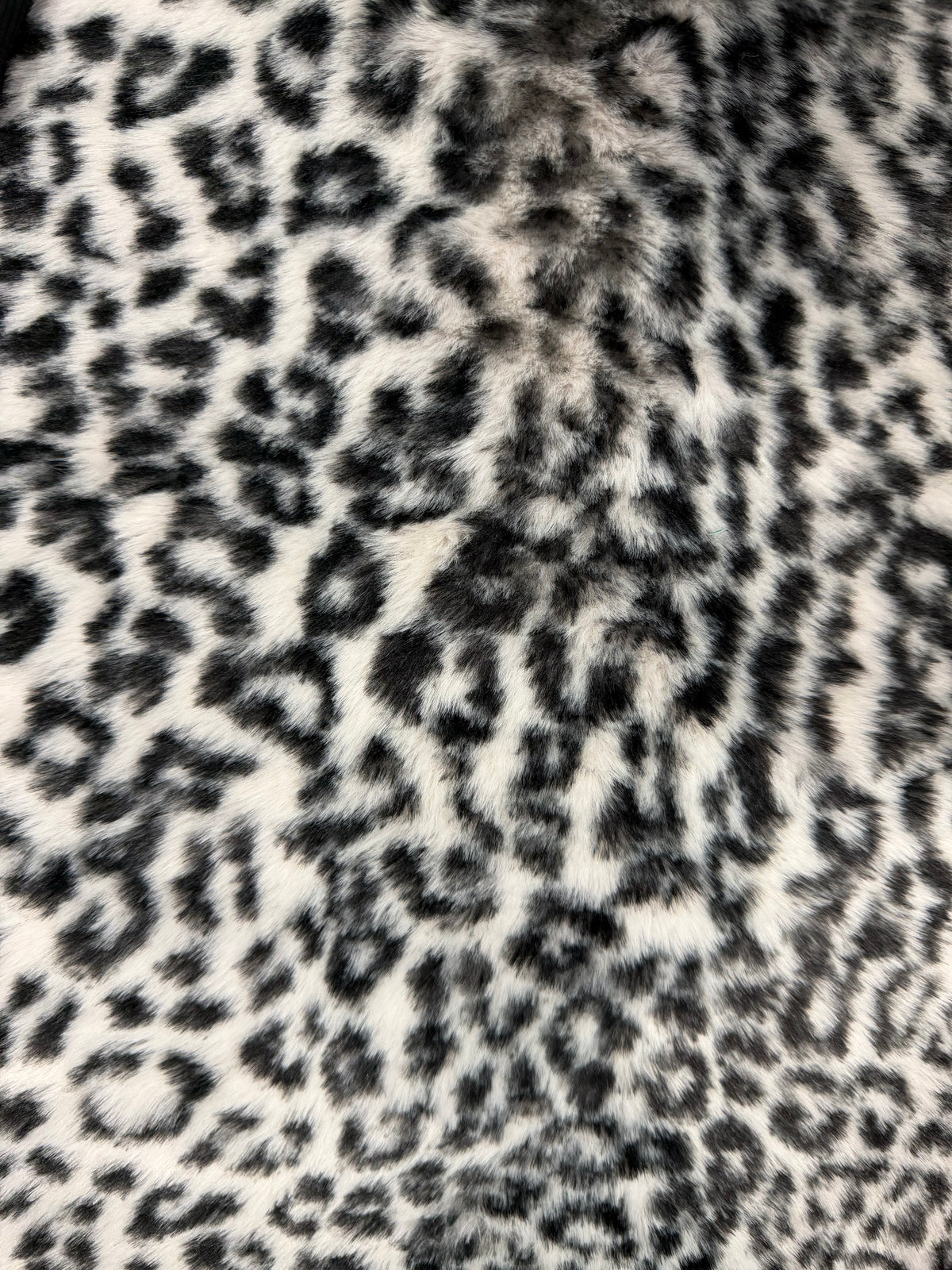 Cheetah Black Pearl