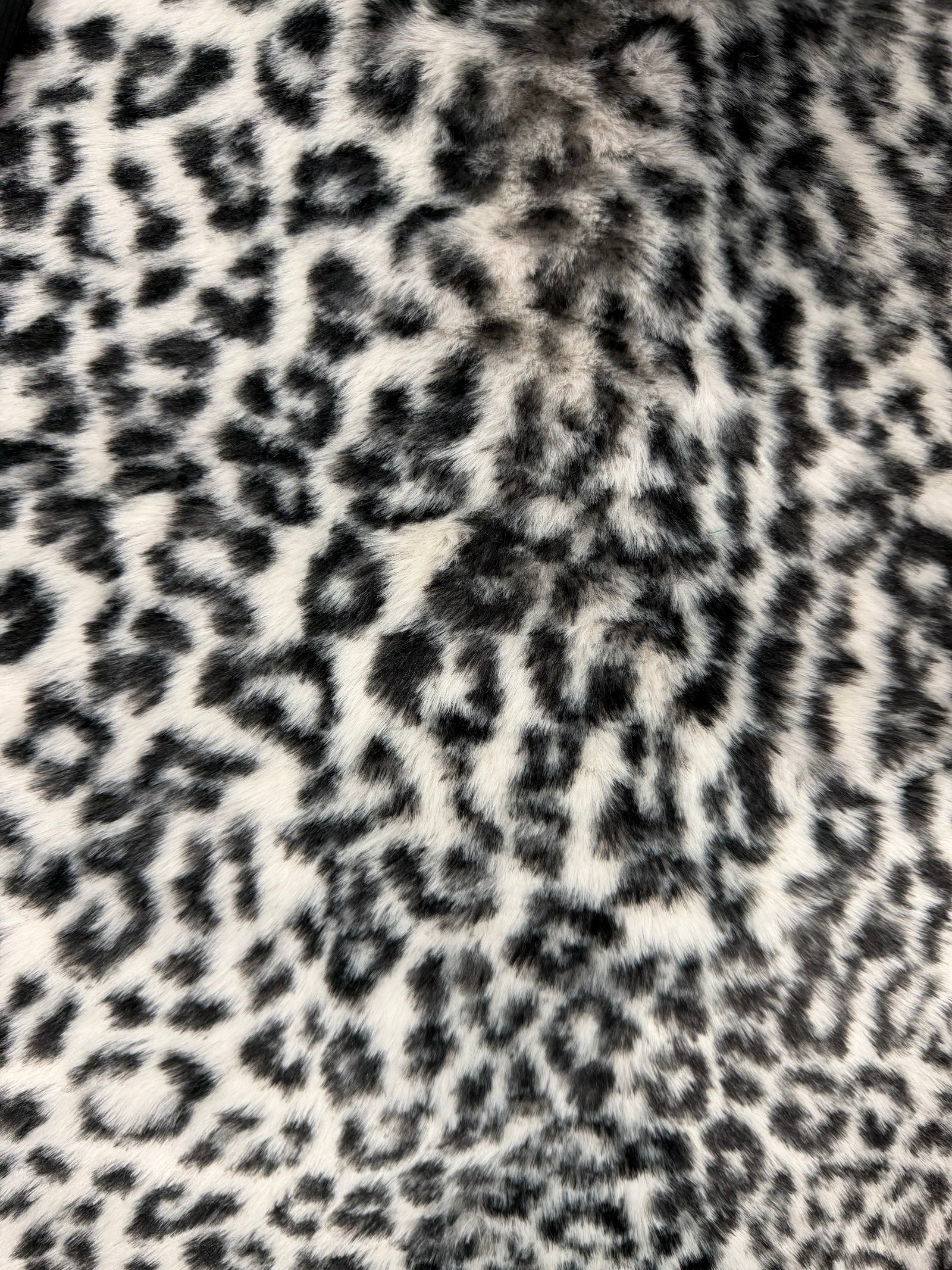 Cheetah Black Pearl