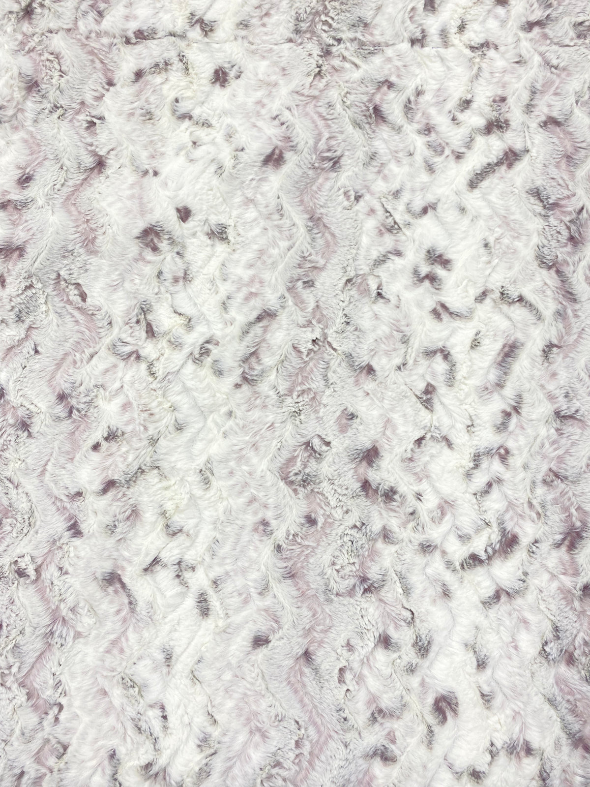 Snowy Owl Elderberry