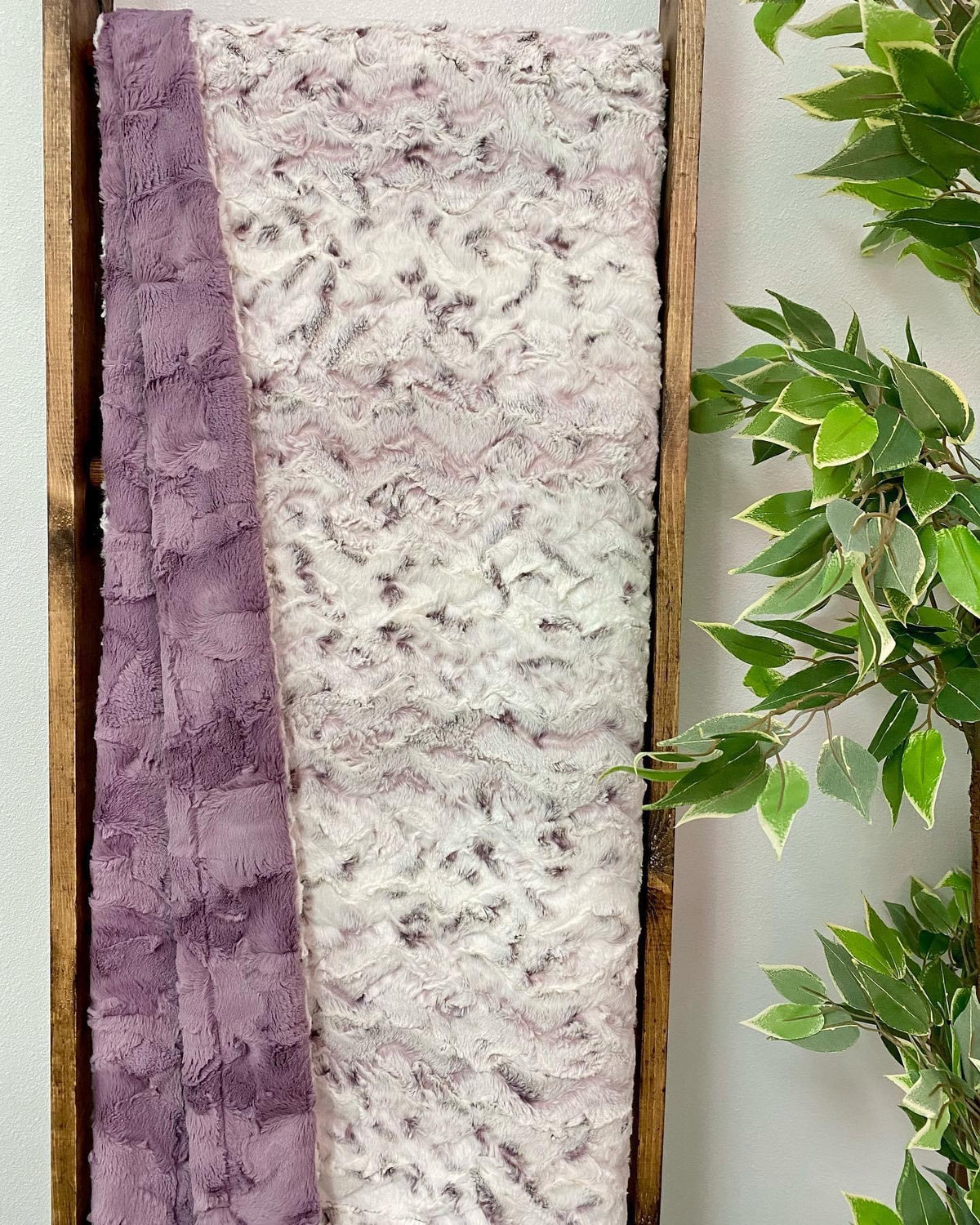 Snowy Owl Elderberry